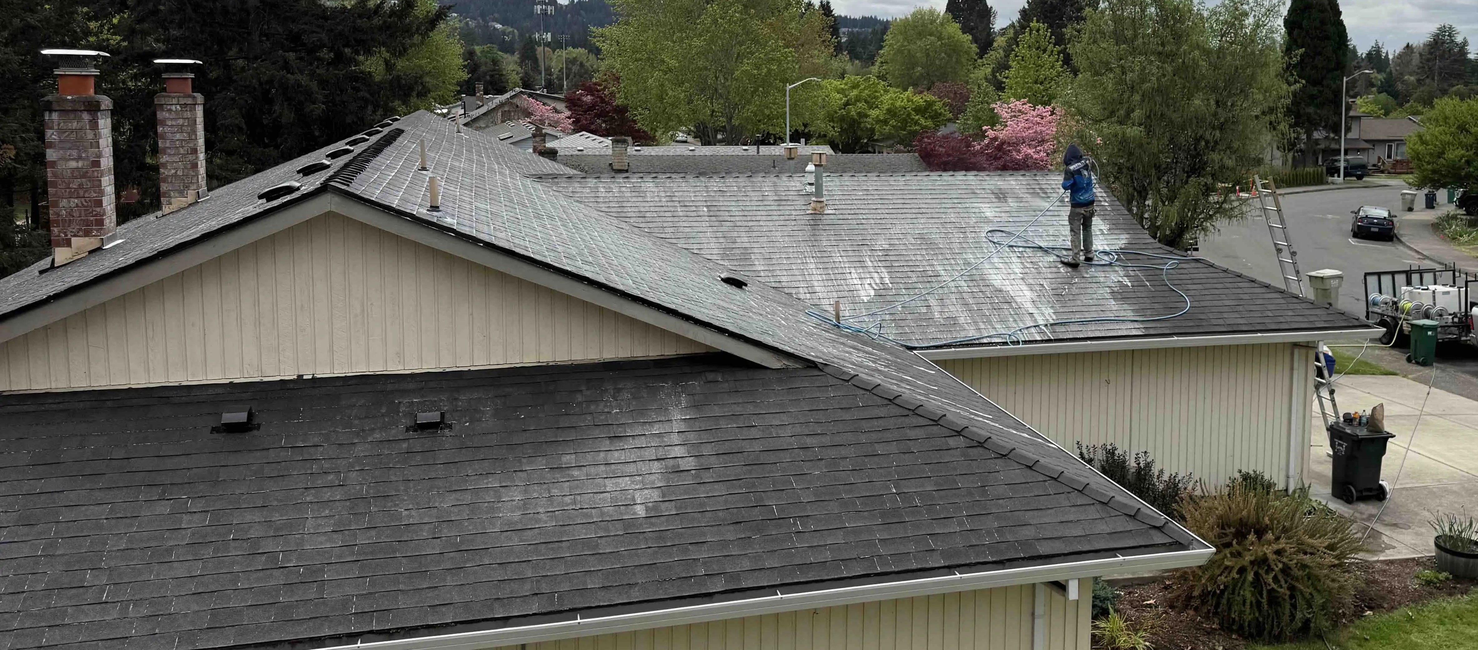 Roof Cleaning Image